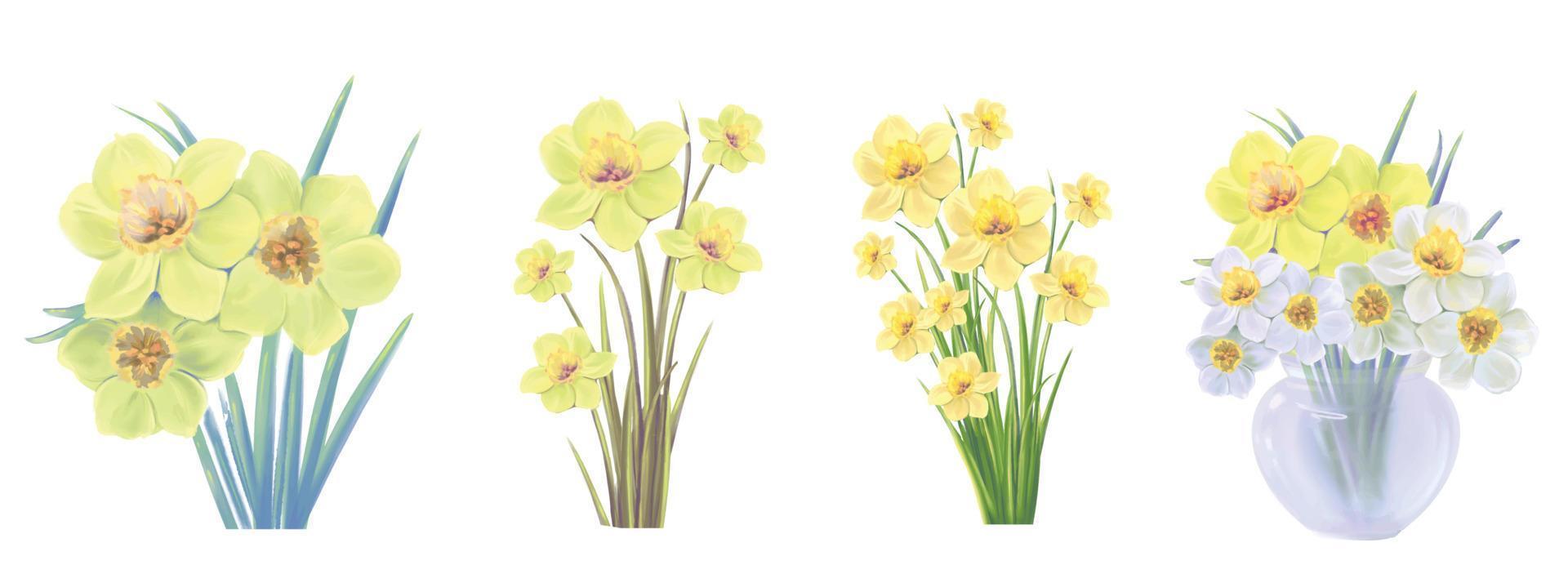 uppsättning av blommande buketter av gula narcisser blommor vektorillustration vektor