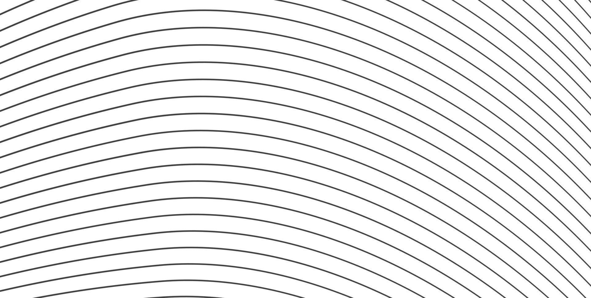randmönster. vit tunn linje bakgrund. tunna mörka linjer på vitt. sömlösa mörka tunna linjer. topografisk linje. runda linjer abstrakt vektor