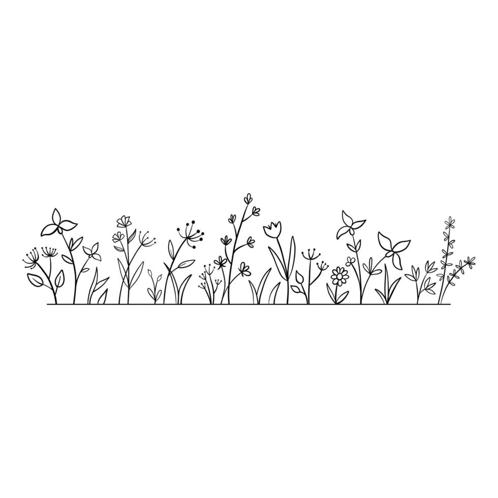 Vektor wilde Kräuter und Blumen kritzeln Illustration. Feld mit Gras, Pflanzen und Wildblumen isoliert auf weißem Hintergrund