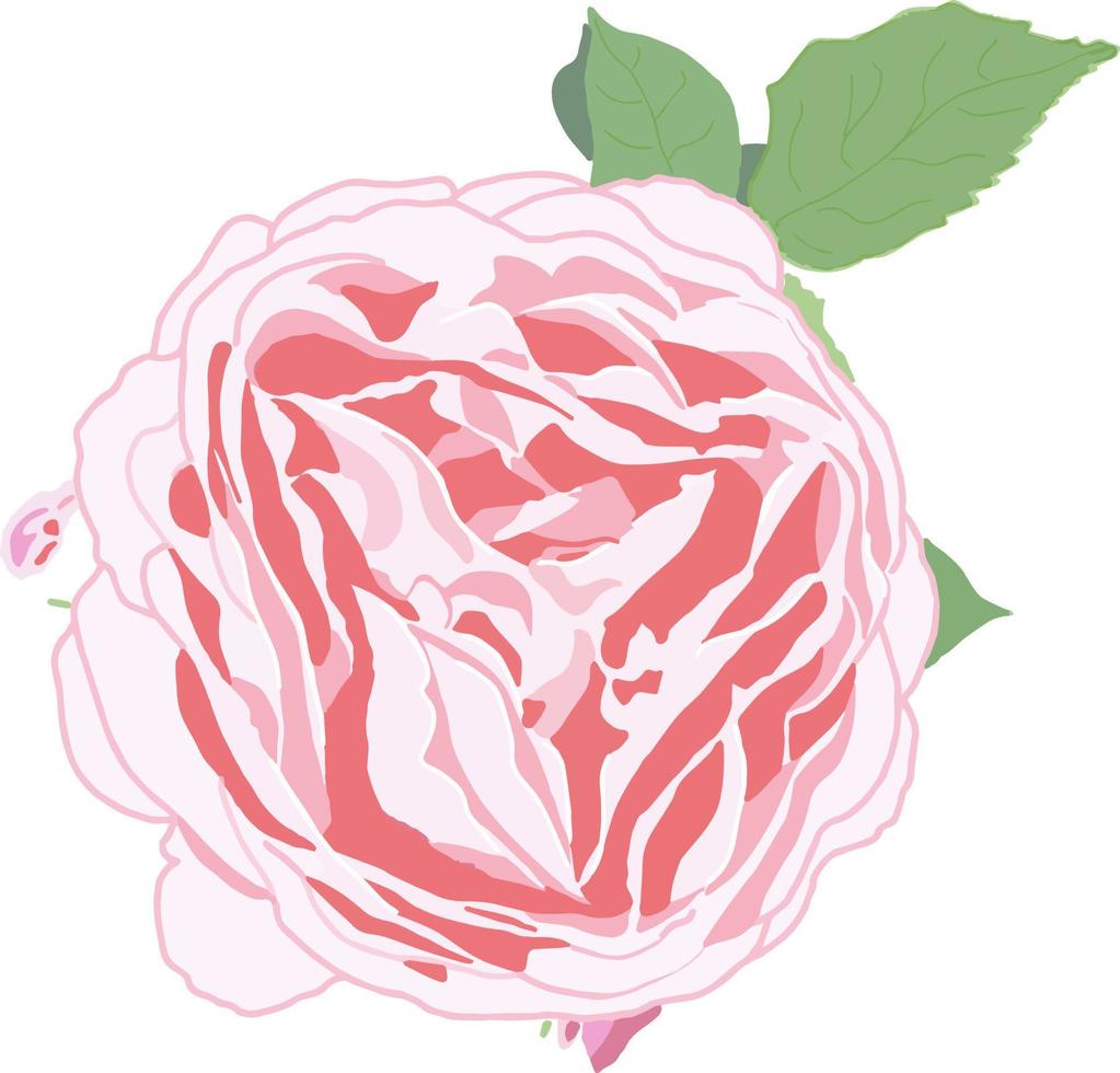 Blume im Freien. ein Käfer in der Sonne. helles Rosenmuster. florales rosa Muster. vektor