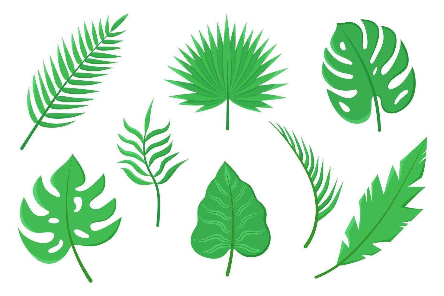 vektor uppsättning av olika gröna tropiska löv isolerad på vit bakgrund.