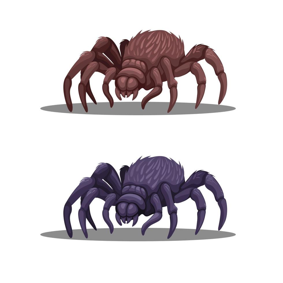 tarantula eller jätte spindel djur karaktär i två färg set illustration vektor