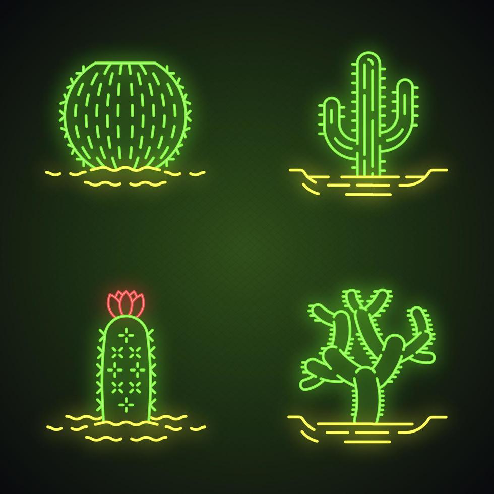 vilda kaktusar i land neonljus ikoner set. tropisk suckulent. taggig växt. fatkaktus, cholla, saguaro, igelkottskaktus. glödande tecken. vektor isolerade illustrationer