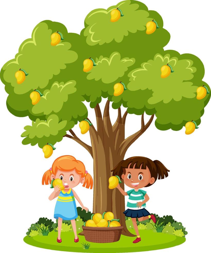 barn som skördar mango från träd vektor