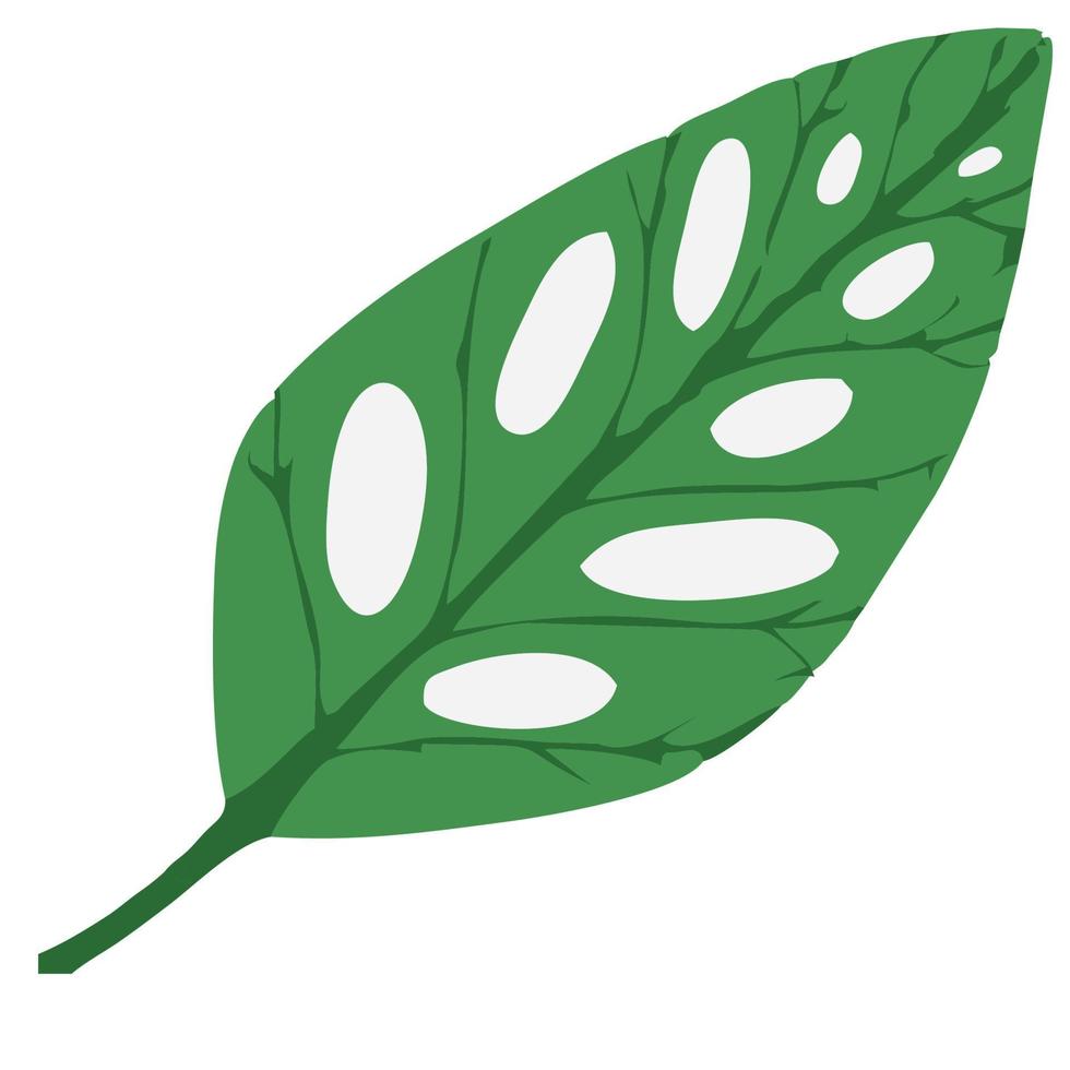 grön monstera leaf vektor på en vit bakgrund. blad mönster.