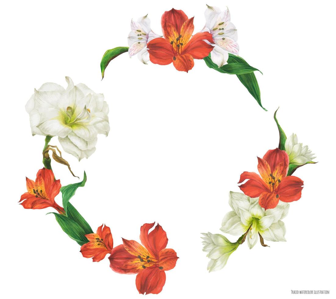 floraler runder rahmen mit roten und weißen lilienblumen, realistisch nachgezeichnete illustration vektor