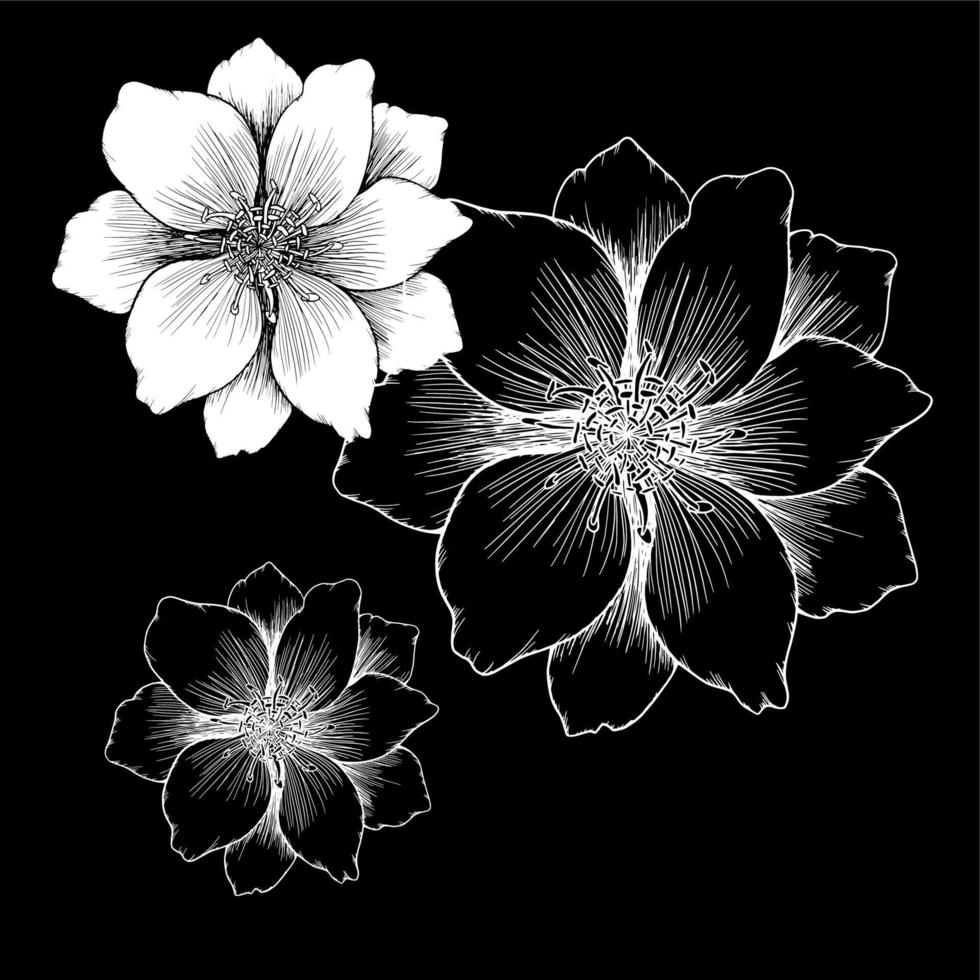 vektor ritning och linje blomma