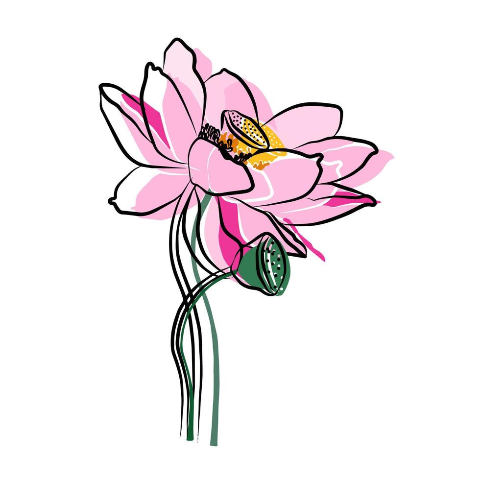 blomma illustration, vacker lotus, används för allmänt bruk vektor