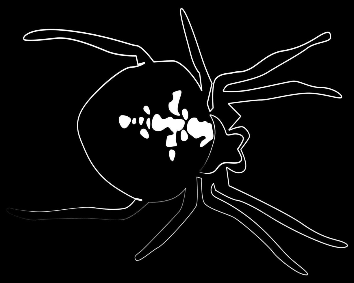 Zeichnen einer Spinne auf schwarzem Hintergrund vektor