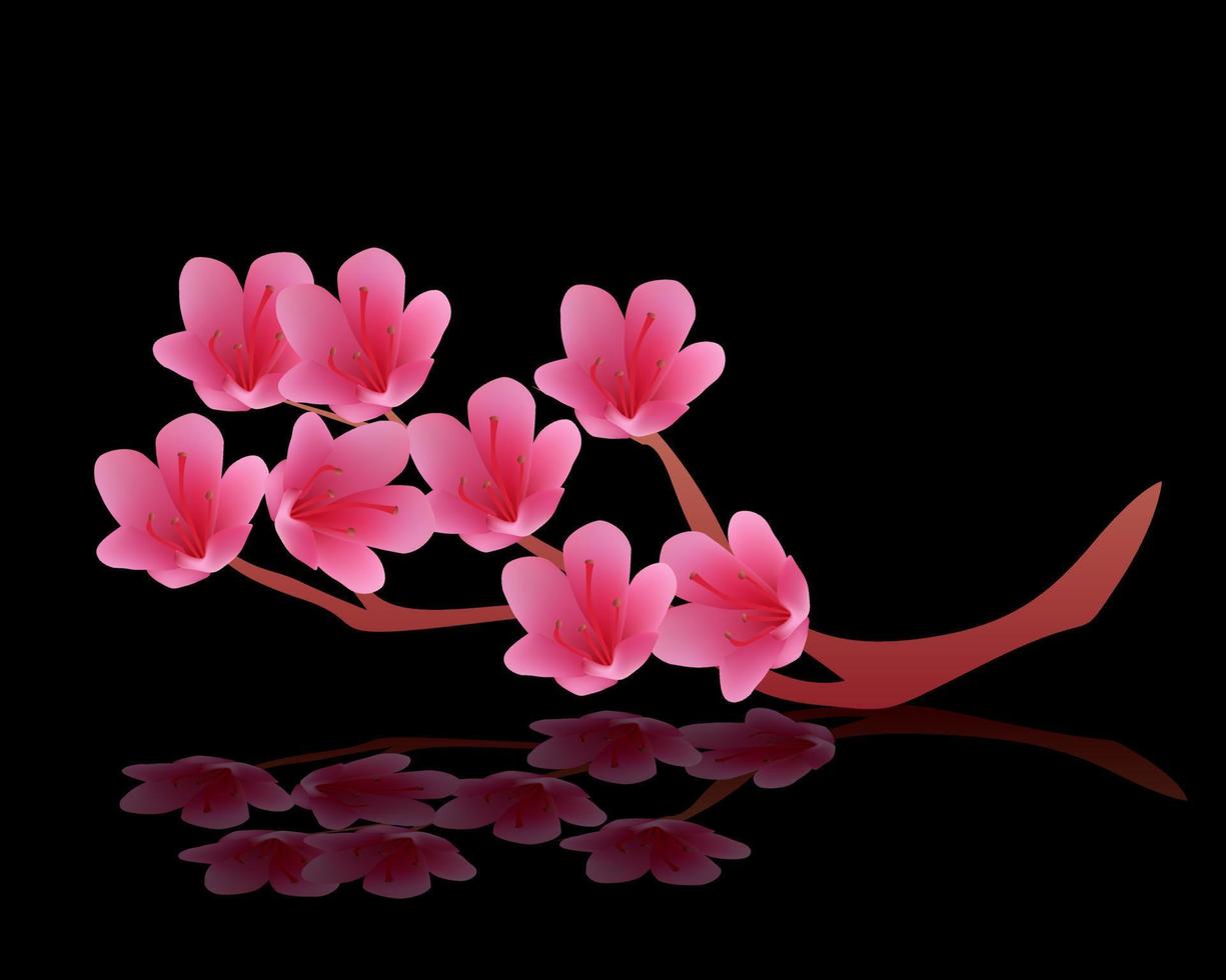 blommande knoppar av rosa körsbär på en svart bakgrund vektor