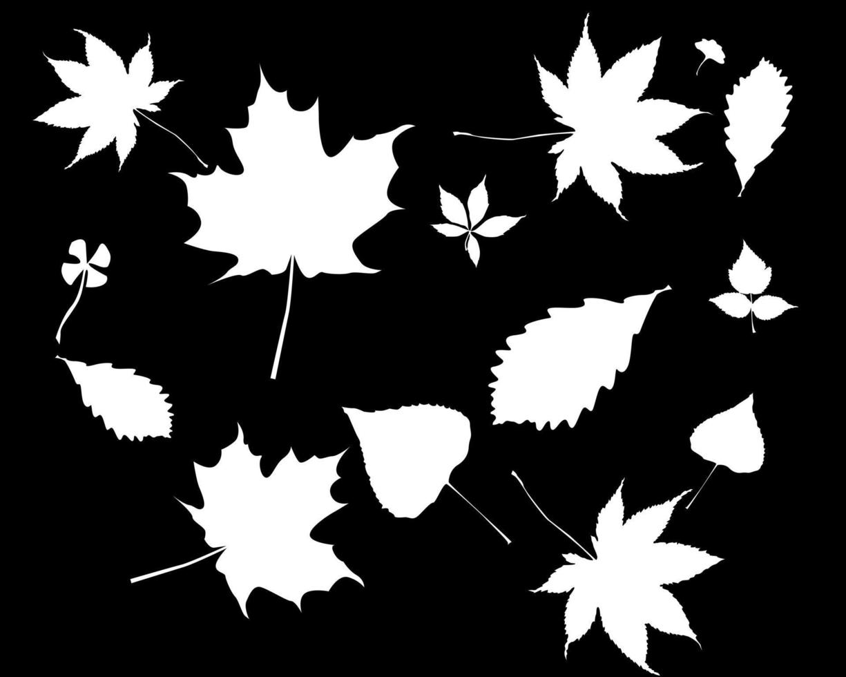 vita silhuetter av löv på en svart bakgrund vektor