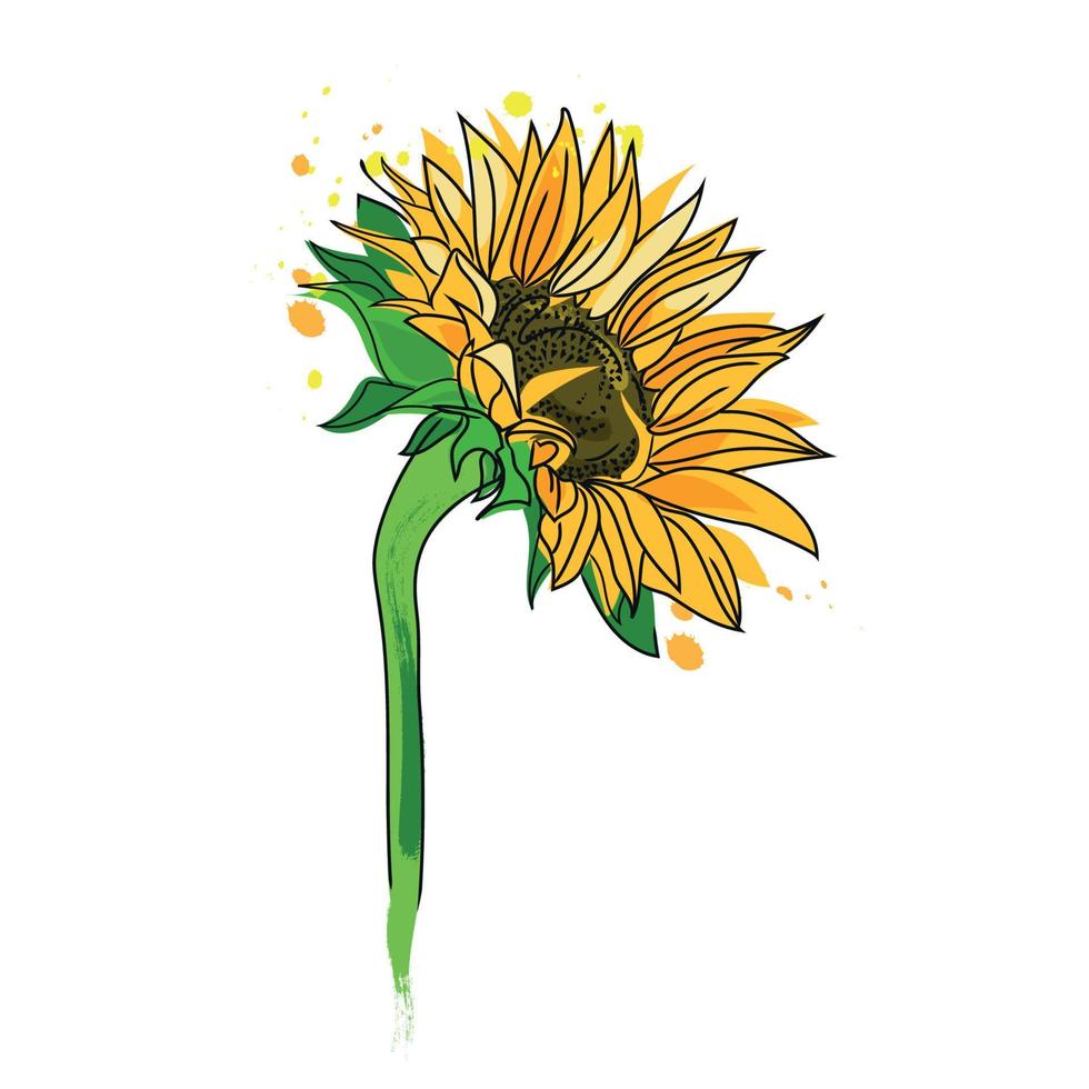 vacker illustration med färgglad solros isolerad på vit bakgrund för dekorativ design. solrosblomma med stänk skissikon, emblem. vektorillustration vektor