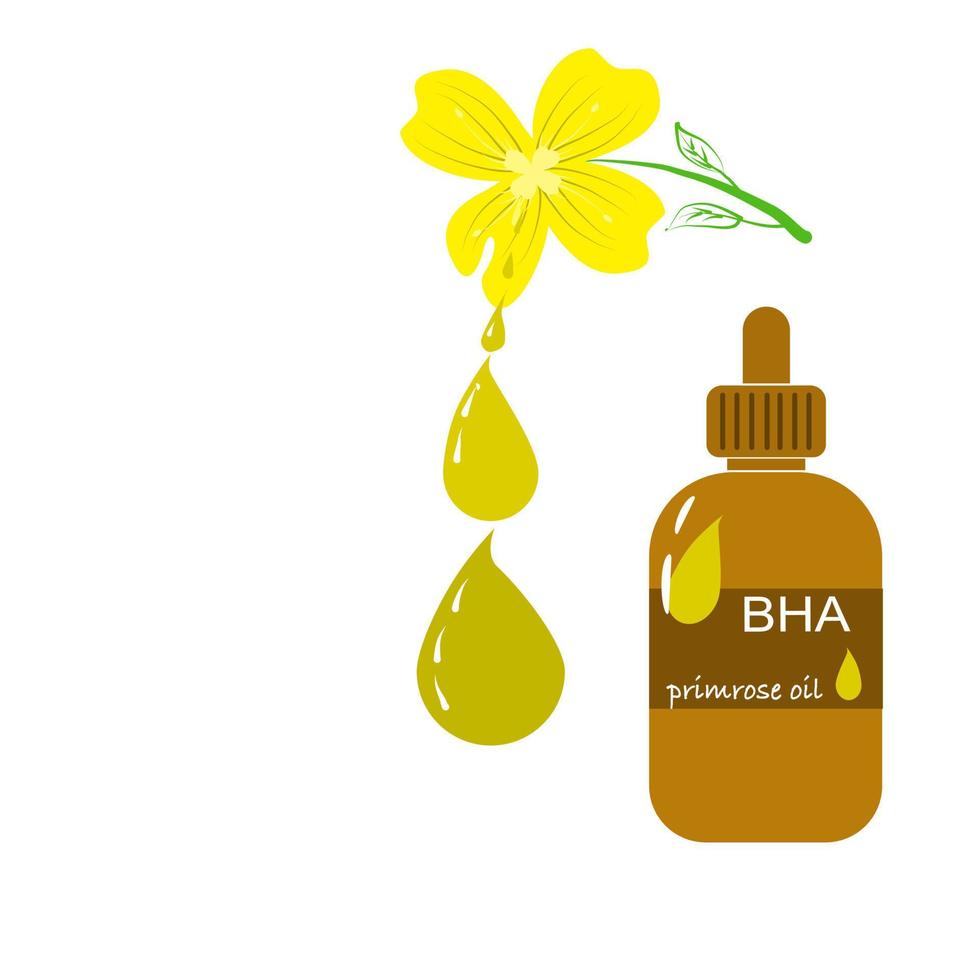 Primulablomolja blandad med bha-extrakt har egenskaper som hjälper till att minska inflammation av akne och göra huden frisk. vektor