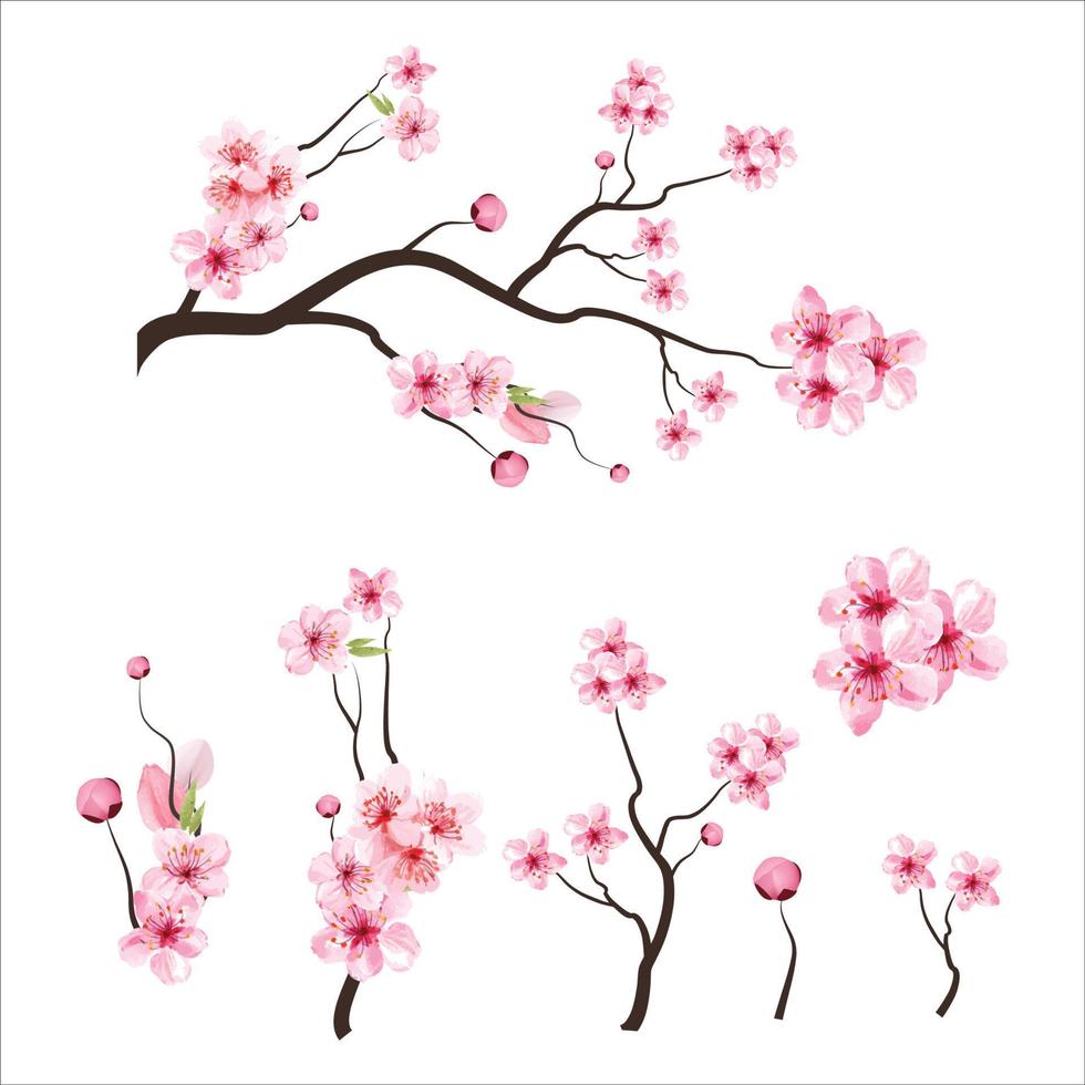 zweig baum vektorillustration sommer clipart herbst clipart natur wald, hintergrund kirschblüte frühlingsblume japan, zweig der blühenden sakura mit blumen, kirschblüte vektor