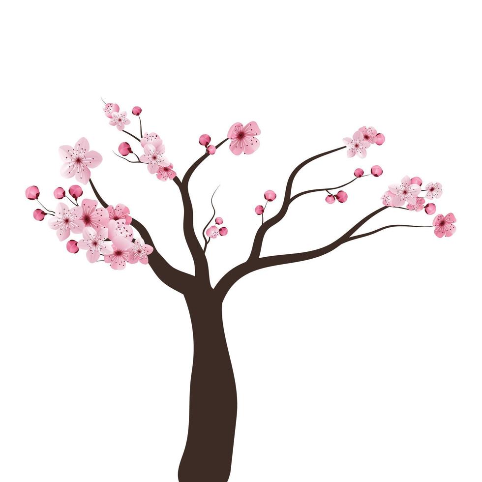 Vollblüte rosa Sakura-Baum Kirschblüte schwarzes Holz isoliert auf weißem, Blumenzweig-Hintergrund, Flora-Busch-Banner-Vintage-Rahmen. pastellfarbene, süße Frühlingsblumentapete. vektor