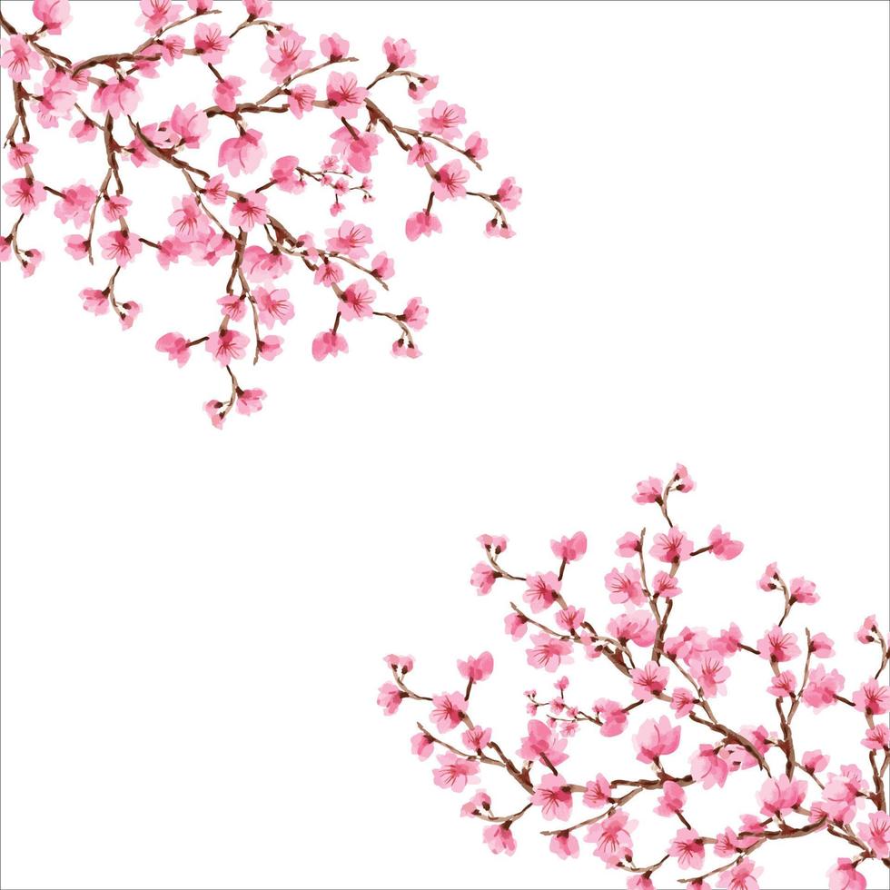 körsbärsblommor, sakura rosa blommor bakgrund, körsbärsblommor vårblommor bakgrund, bakgrund körsbärsblommor vårblomma japan vektor