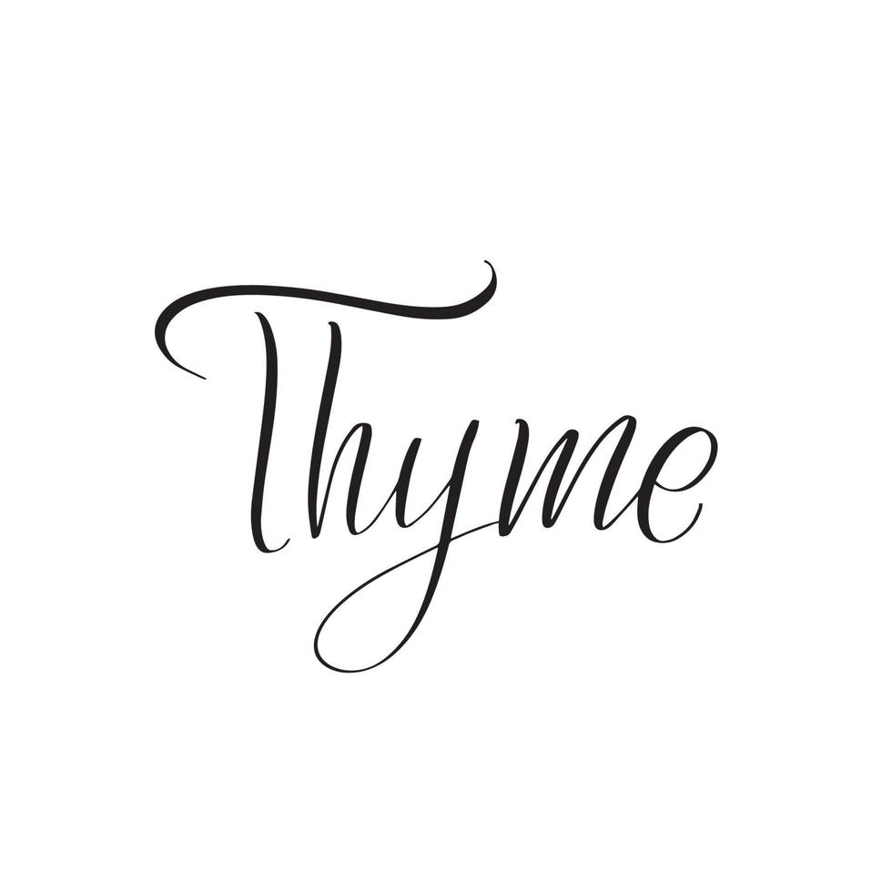 inspirierende handgeschriebene Pinselschrift Thymian. vektorkalligraphieillustration lokalisiert auf weißem hintergrund. typografie für banner, abzeichen, postkarten, t-shirts, drucke, poster. vektor