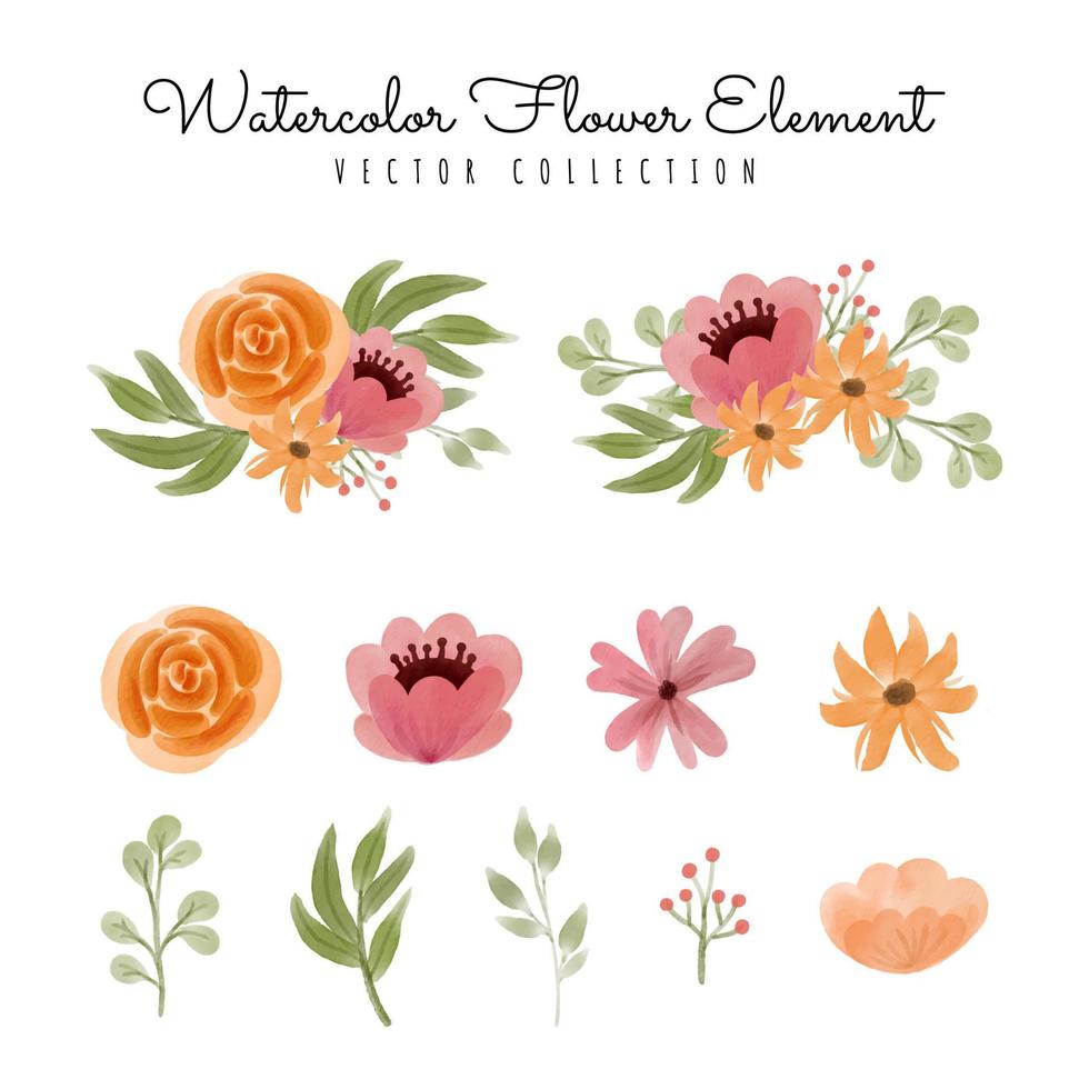 wasserblumenblumenstrauß und elementvektorillustrationssammlung vektor