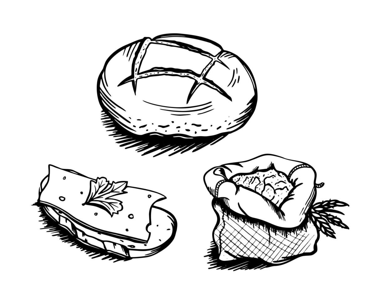 bröd set handritade bageri element vektor skiss doodle. för café- och bagerimenyer