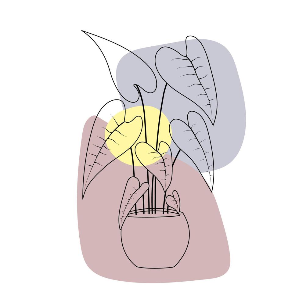 Alocasia-Pflanze im Blumentopf. linie kunst handgezeichnete zimmerpflanze mit farbigen abstrakten formen. moderner Minimalismus vektor