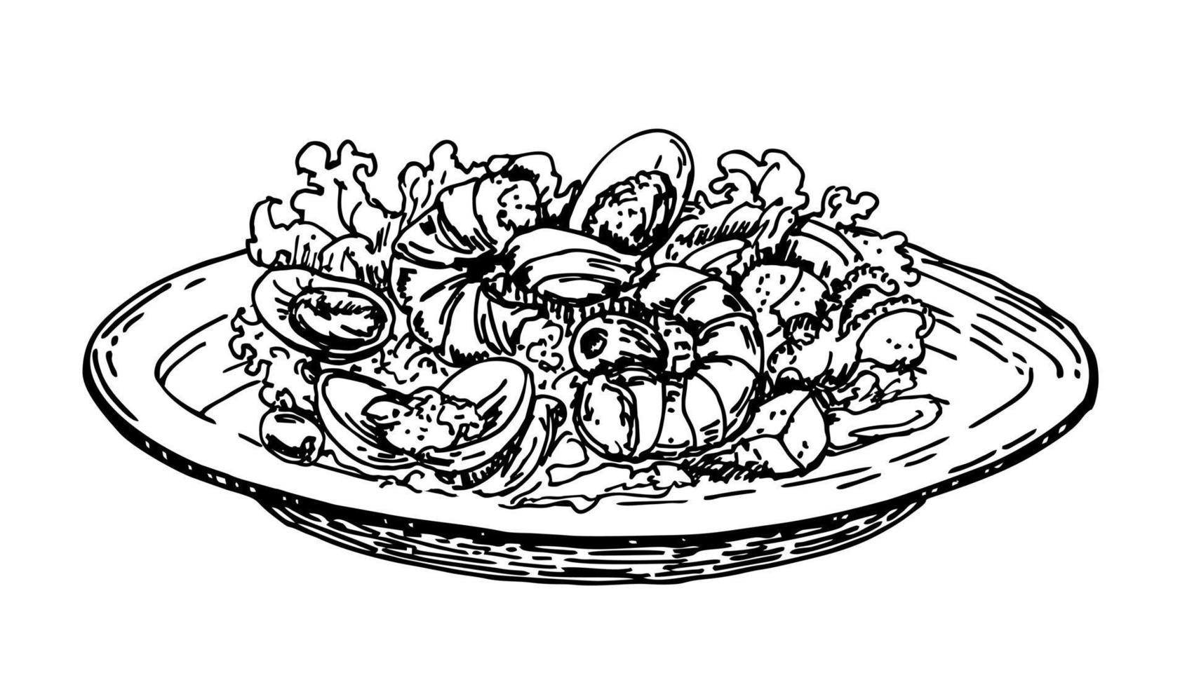 handgezeichneter Garnelensalat. Skizzenstil. leckerer Salat mit Meeresfrüchten und Gemüse auf dem Teller vektor