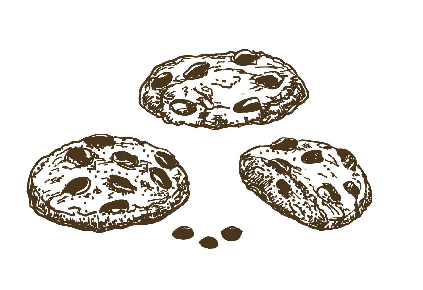 Chocolate chip cookies. skiss bläck grafiska kakor set illustration, svart på vitt linjekonst vektor