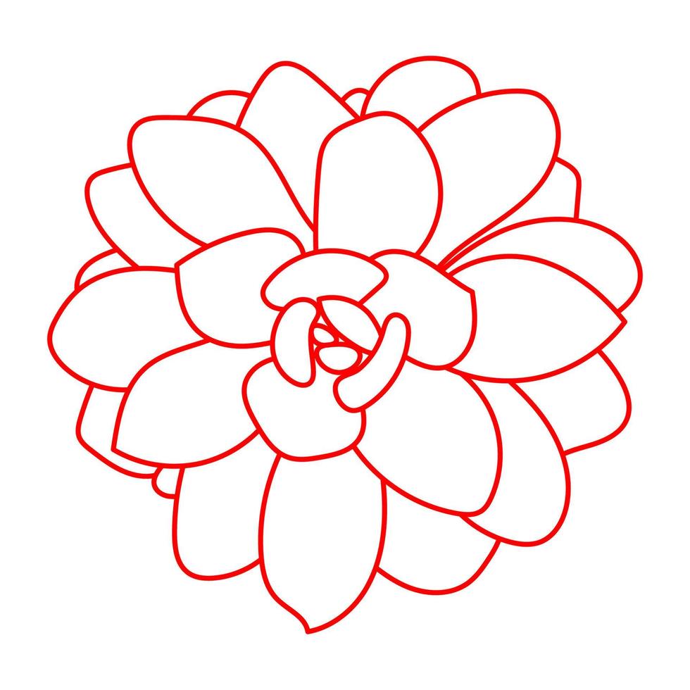 röd suckulent. doodle vektor illustration. rita blomma för tryck. konturskissanläggning.