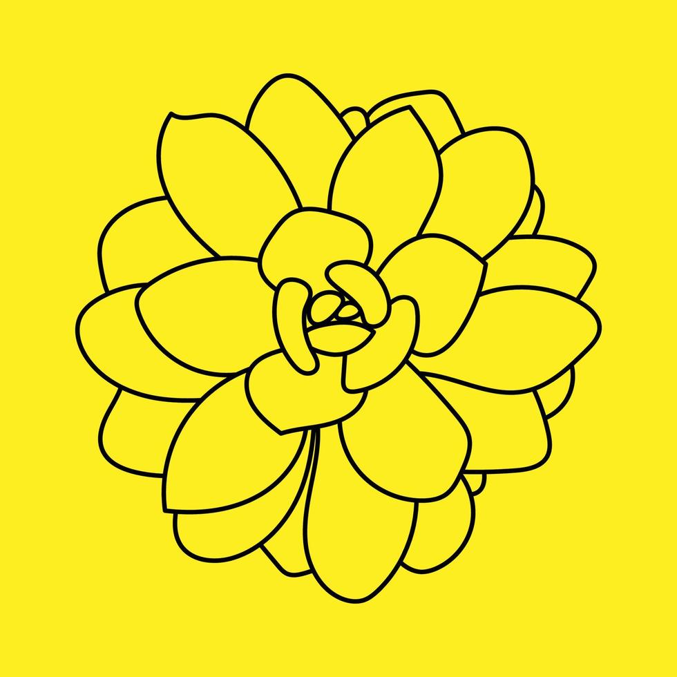 doodle saftig blomma. ökenblomma för tryck och design, mönster. vektor