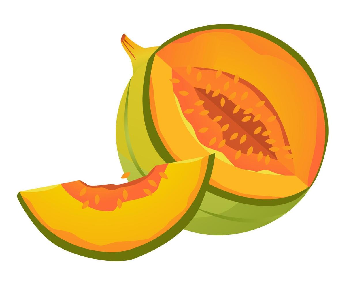 Vektor-Illustration einer Melone. geschnittene Melone mit einer Scheibe. reife Frucht. vektor