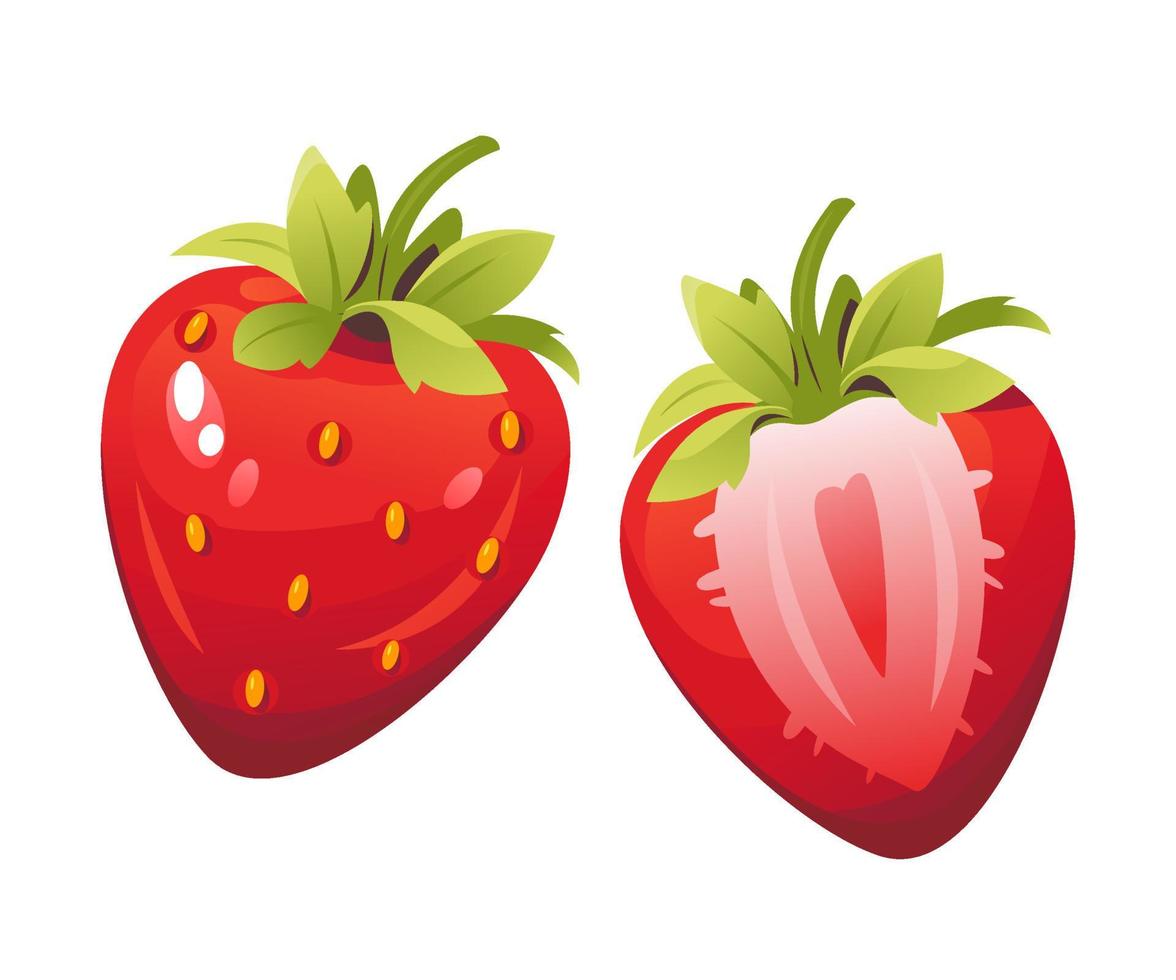 Vektor-Illustration von Erdbeeren. in Scheiben geschnittene Erdbeeren, reife Beeren vektor