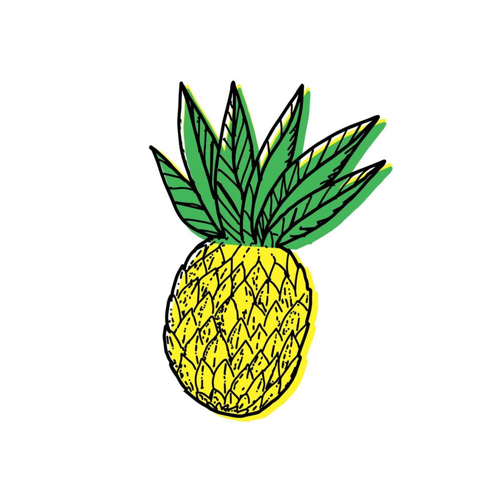 ananas, ritade delar av en skiss stil doodle. hel ananas med löv. vektor enkel illustration, isolerad på vit bakgrund