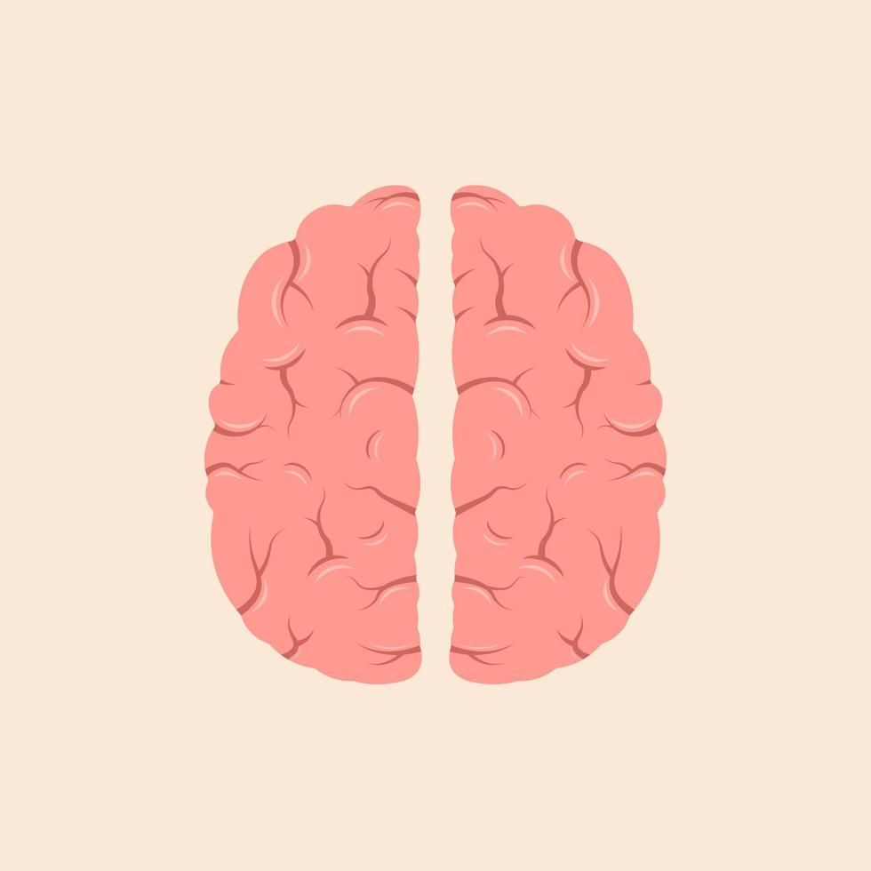 hjärna eller sinne ovanifrån linjekonst färg vektor ikon för medicinska appar och webbplatser.