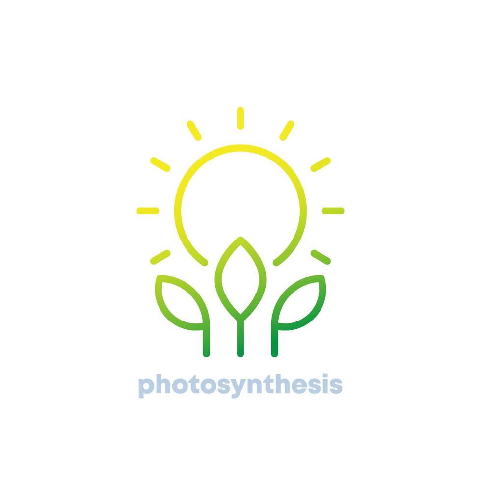 Photosynthese-Liniensymbol, Sonne und Pflanze vektor