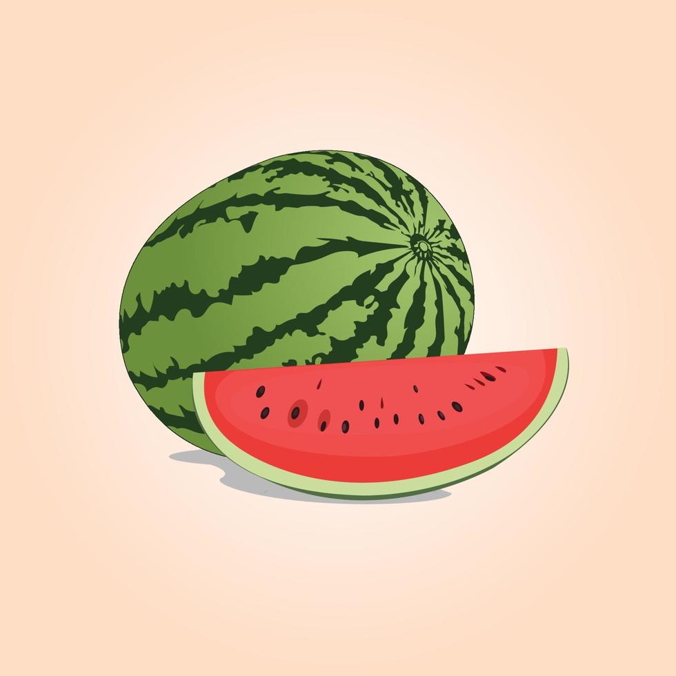 vattenmelon vektorillustration vektor