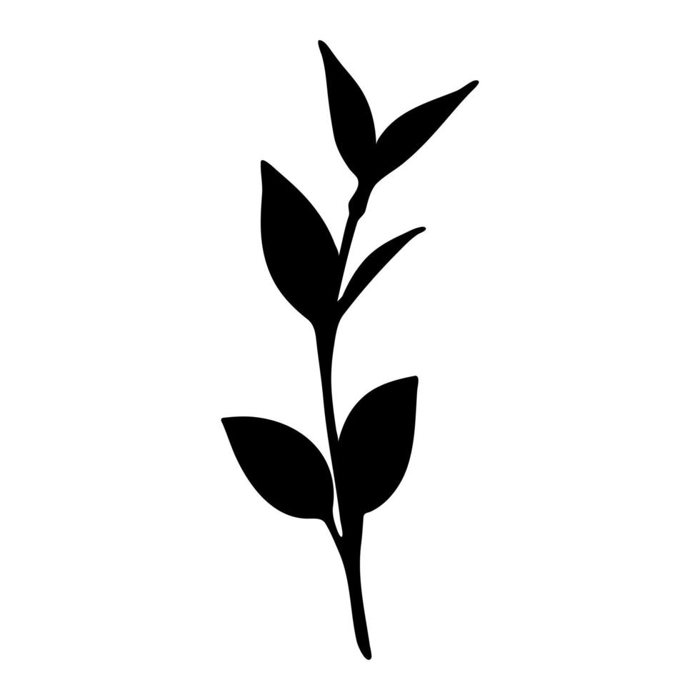 schwarze Silhouette eines Zweiges mit Blättern und einem Stängel isoliert auf weißem Hintergrund. dekoratives botanisches element. Vektor-Illustration. vektor