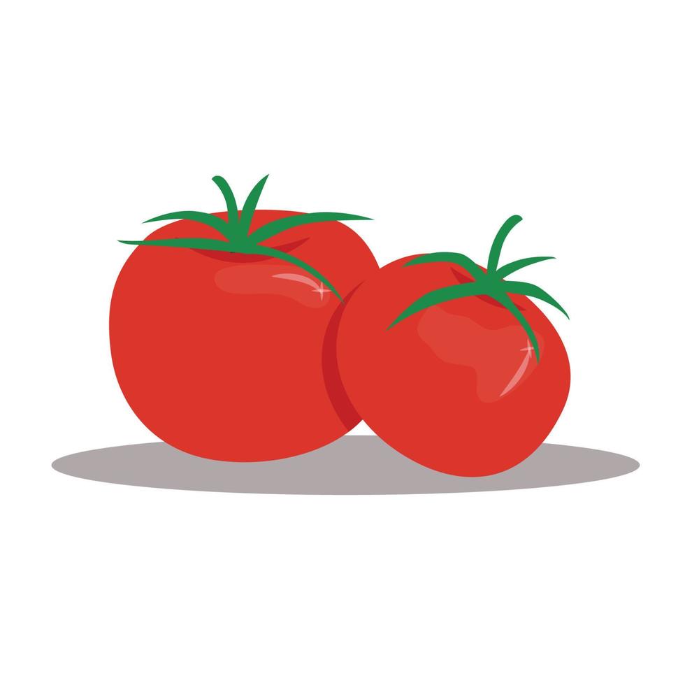 handgezeichnete illustration der tomate vektor