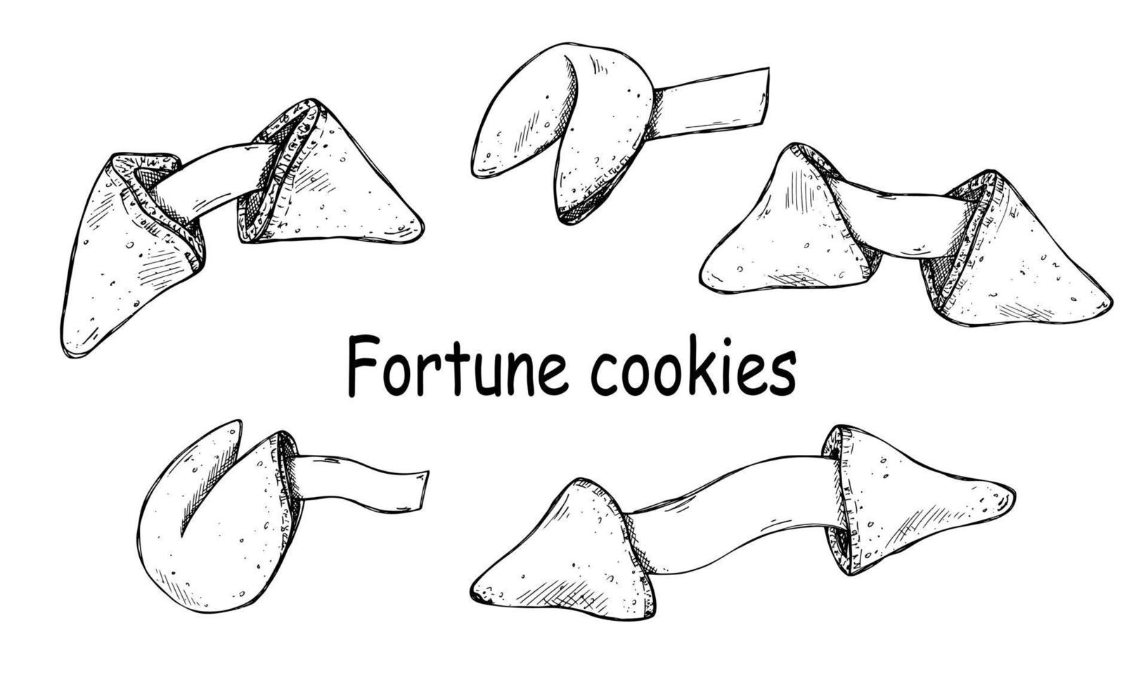 Vektor-Set von handgezeichneten chinesischen Glückskeksen. Lebensmittelillustration. knuspriger Keks mit einem leeren Blatt Papier darin. für Print, Web, Design, Dekor, Logo. vektor