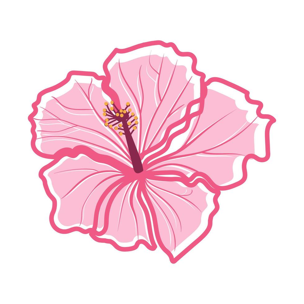 tropische hibiskusblüte dekorative exotische pflanze vektor