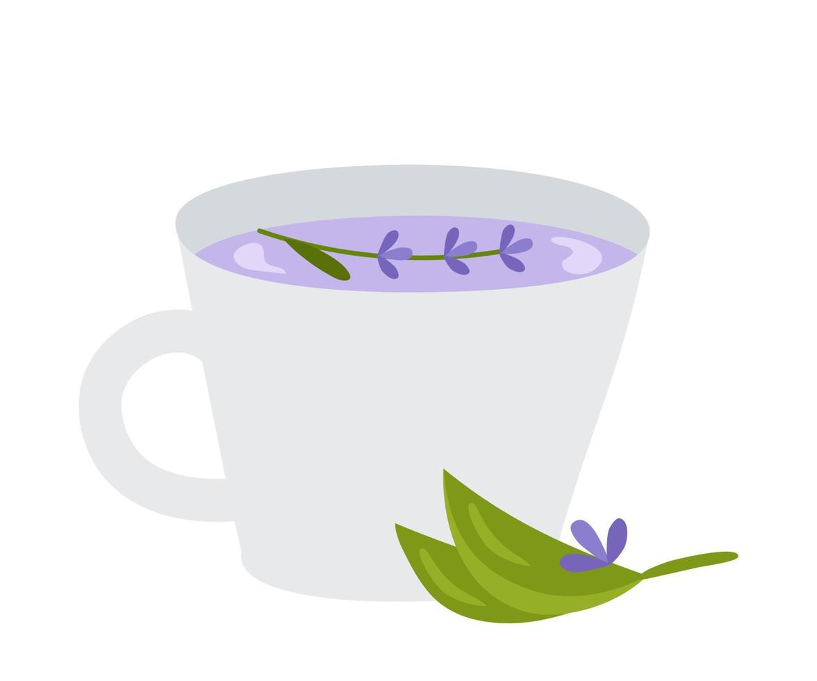 Tasse Kräutertee mit Lavendelblüten. vektorillustration eines gesunden getränks für design oder dekoration. vektor