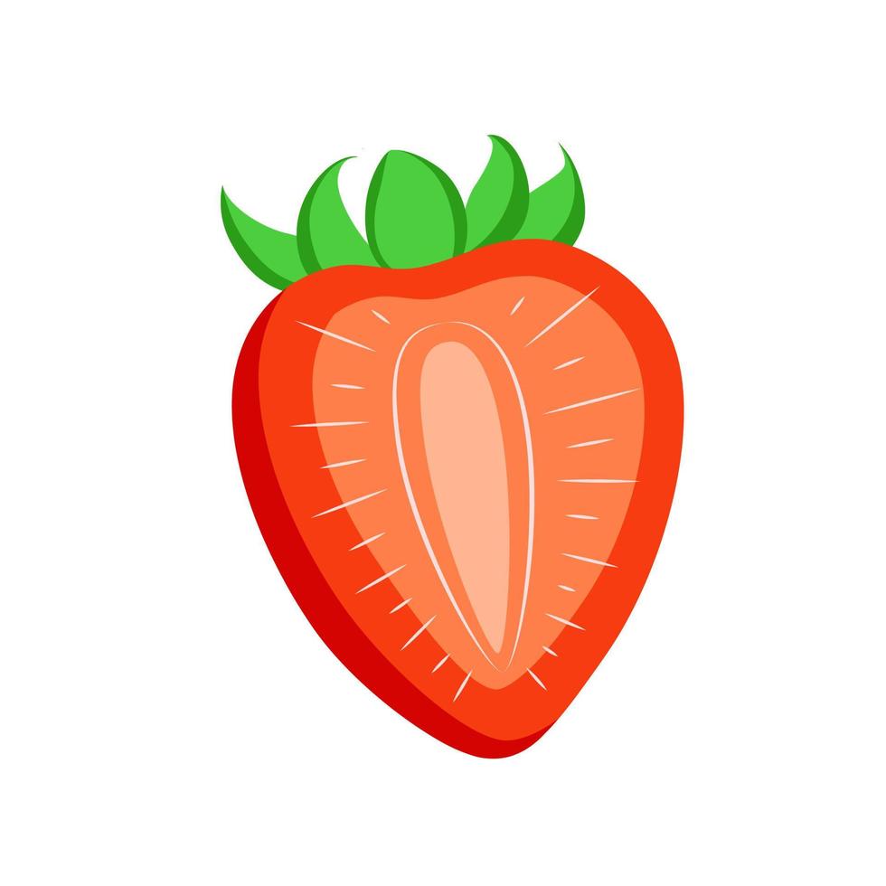 Vektor-Erdbeer-Symbol. Farbzeichnung eines Erdbeerschnitts vektor