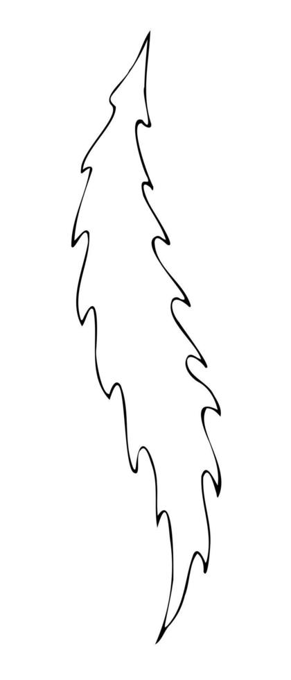 Blätter Kontur, handgezeichnete Vektorzeichnung vektor