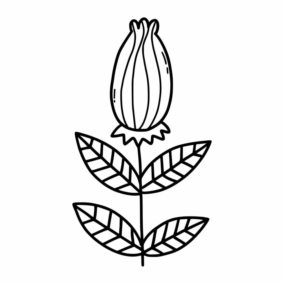 Gekritzelblume auf weißem Hintergrund. vektorillustration mit pflanze. Malbuch für Kinder. Postkartendesign. vektor