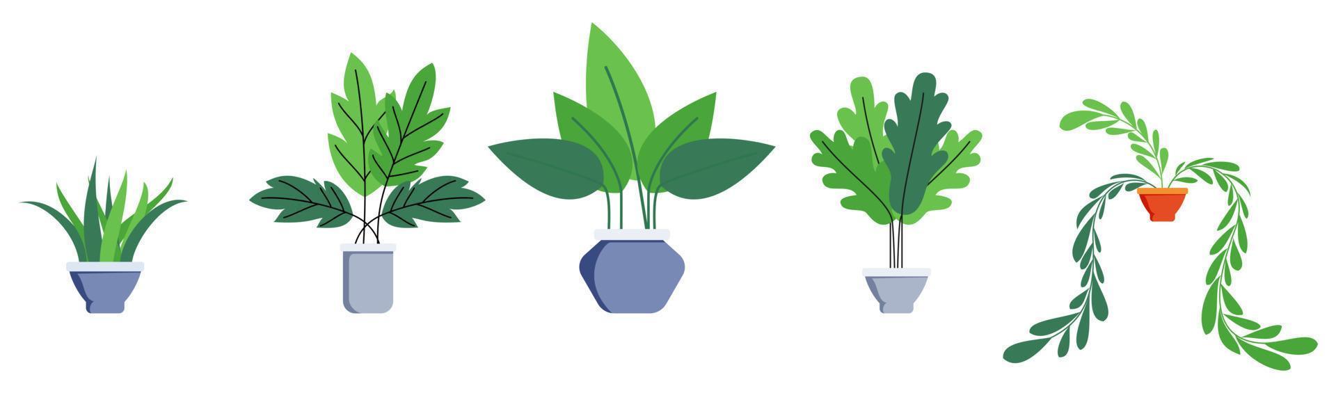 Haus- und Büropflanzen mit verschiedenen niedlichen Pflanzenbäumen isoliert vektor