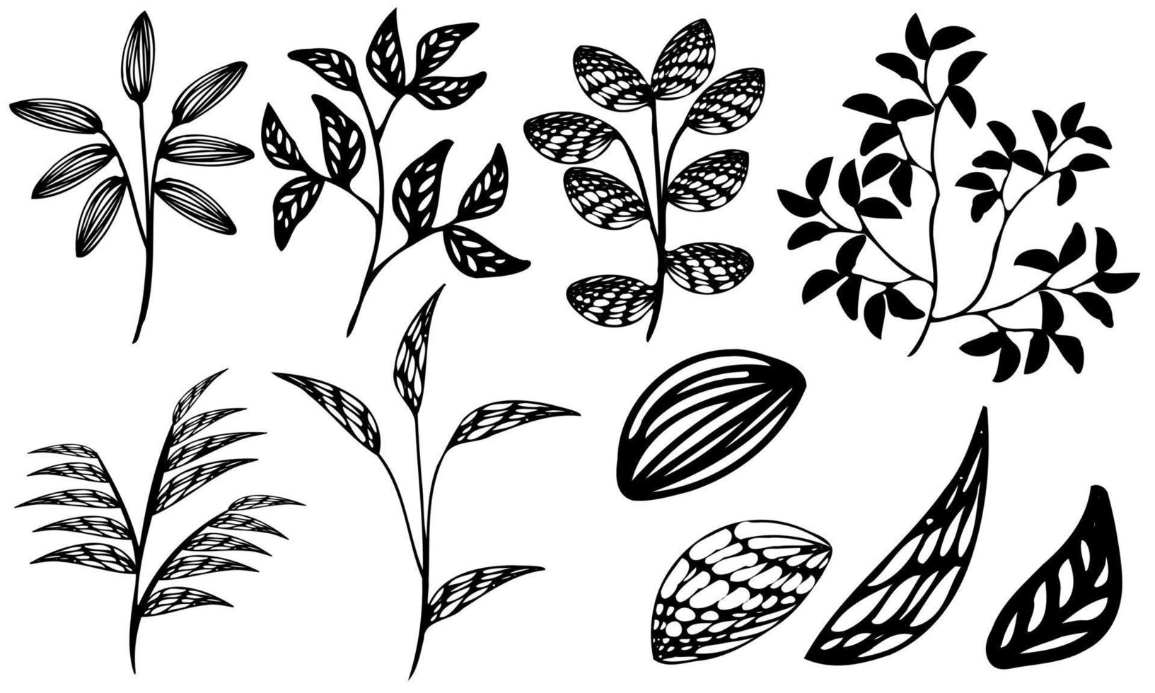 buskeritning svarta och vita löv, blad siluett, växt och gren vektor