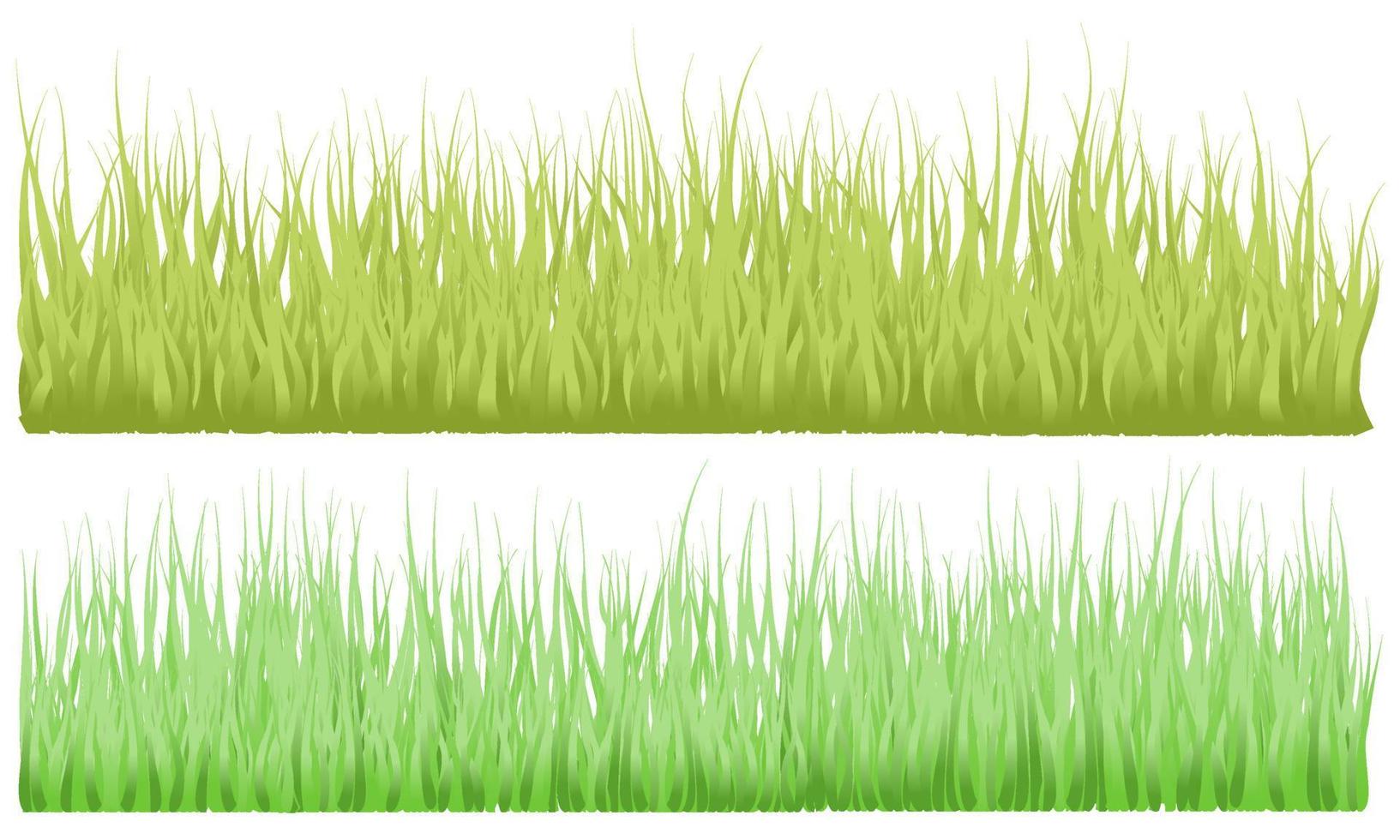 langer Grasvektor, grasbewachsen vektor