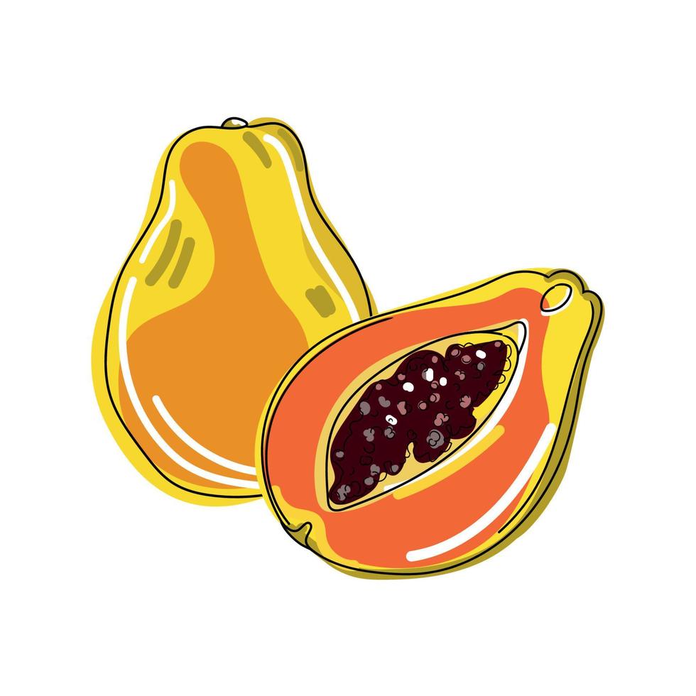 hela och bitar av papaya vektorillustration isolerad på vit bakgrund. papaya ritning i abstrakt enkel stil. abstrakt konst hälsosam frukt vektor