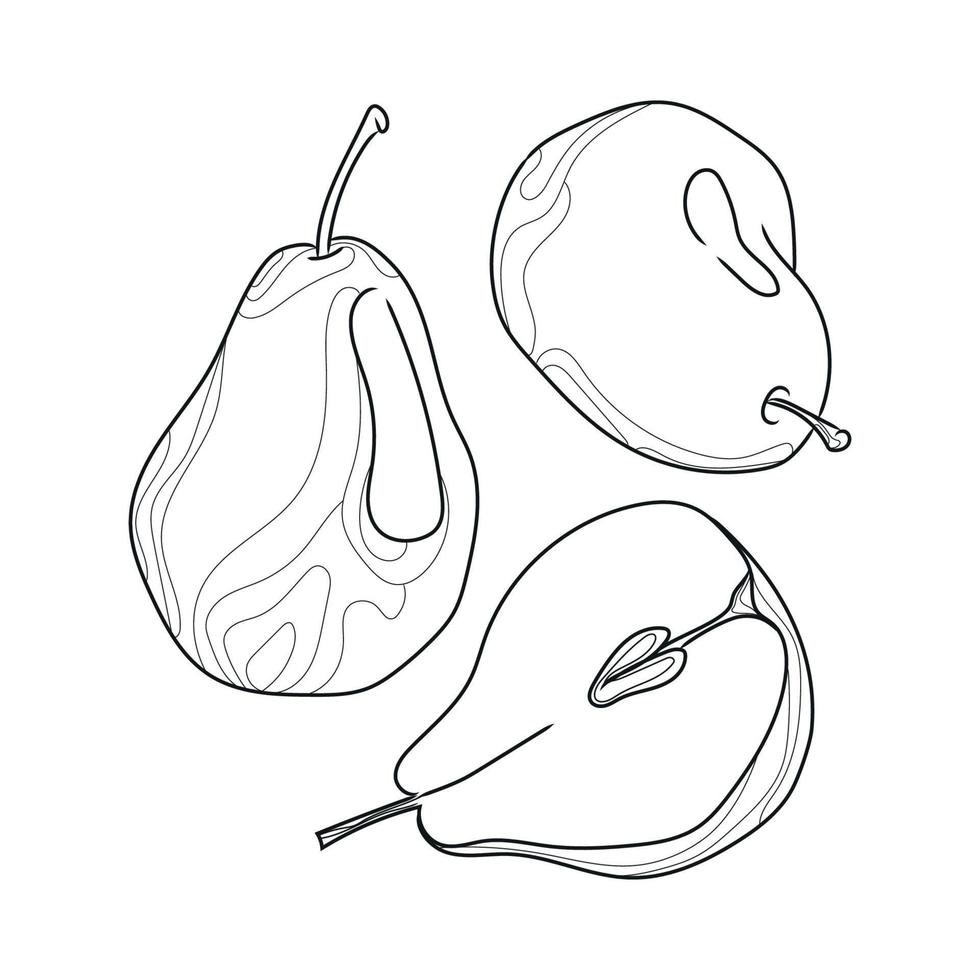 skiss illustration med tre päron linjekonst vektorillustration isolerad på vit bakgrund. minimalistisk teckning. naturlig organisk mat. abstrakt frukt. hälsosam dessert. trendig linjeikon, designelement vektor