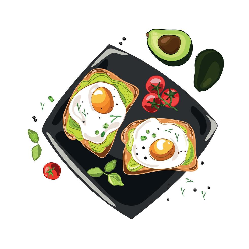 avokado ägg smörgås med fullkorn bröd på plattan ovanifrån, vektor mat illustration isolerad på vit bakgrund. hälsosam frukost eller mellanmål rostat bröd med stekt ägg ritning i tecknad realistisk stil.