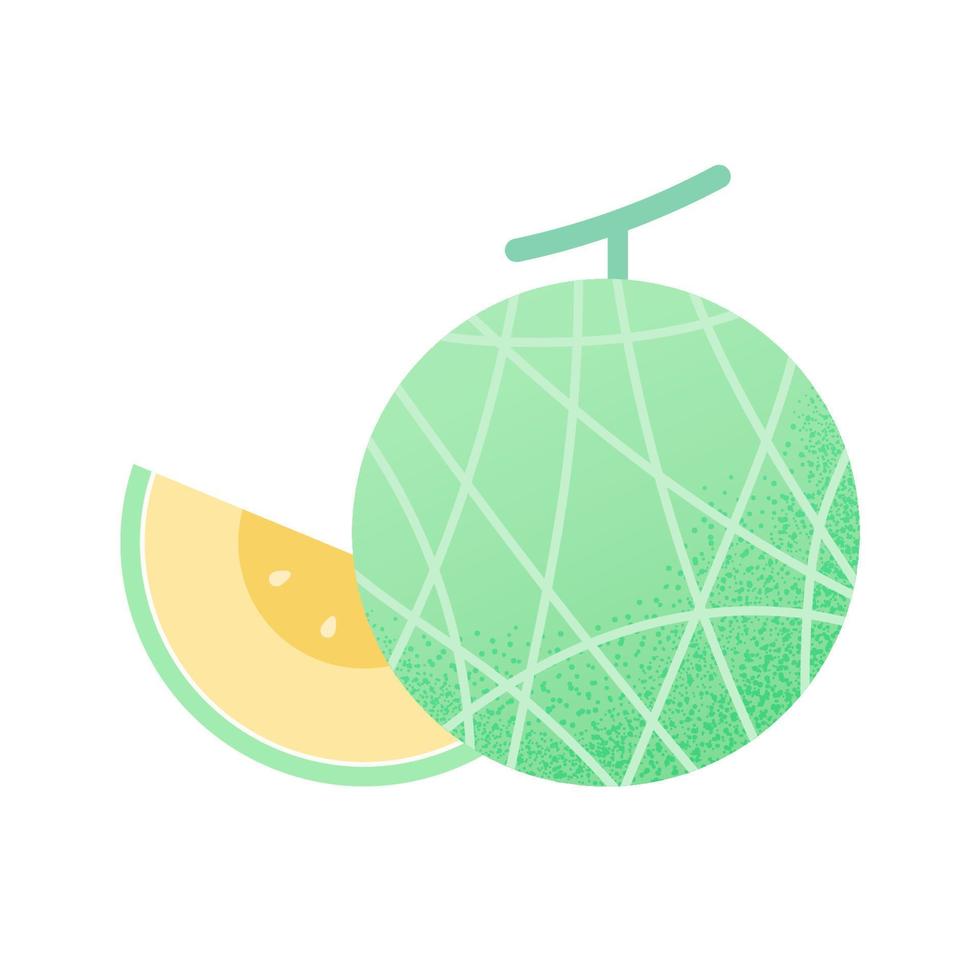färsk melon. hälsosam frukt vektor