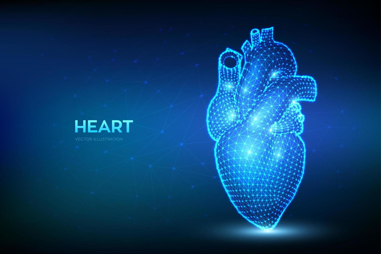 hjärta. lågt månghörnigt mänskligt hjärta. abstrakt wireframe anatomi organ. kardiologi medicin, organhälsa, medicinsk vetenskap, livssjukvård, sjukdomskoncept. 3D vektorillustration. vektor